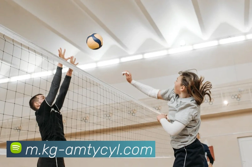 多媒体互动体验